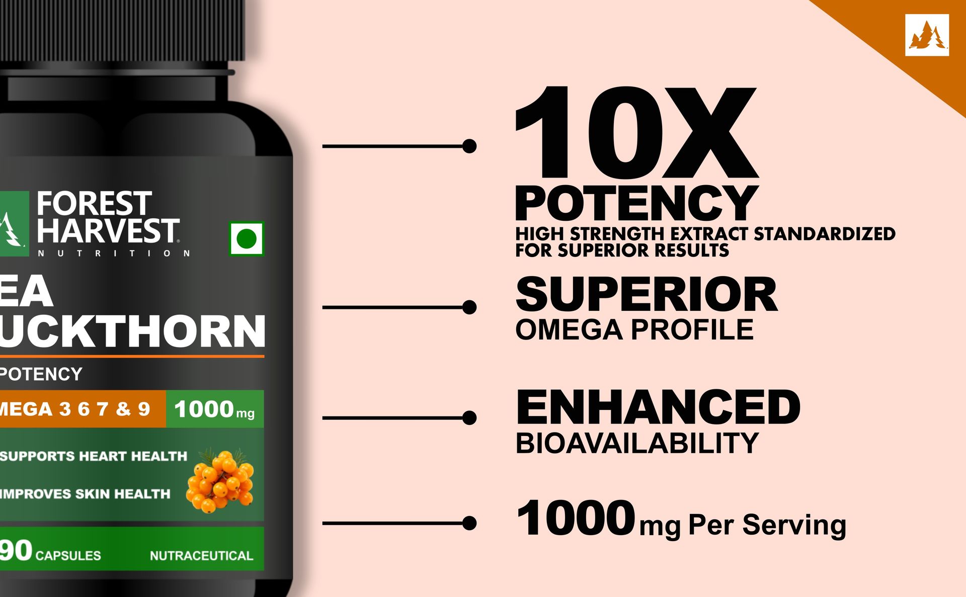 Sea Buckthorn Extract | 10X Potency | 1000 mg Per Serving | 90 Capsules | Skin, Immunity & Heart Health Support