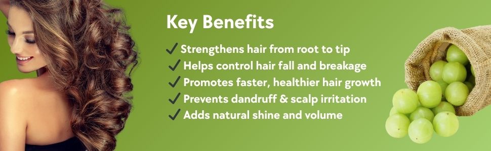 Khadi Amla Hair Powder Pack 100g | Natural,Herbal & Ayurvedic | Removes Dirt, Excess Oil & Chemicals | For Dry, Frizzy & Silky Hair | Healthy Scalp | All Hair Types | For Men & Women