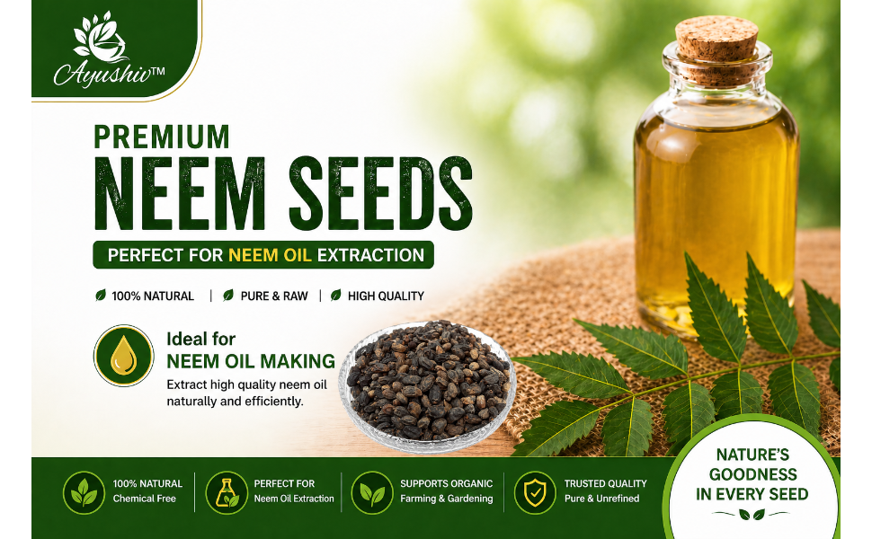 Neem Seeds (Azadirachta indica) Nimboli/Neem Beej (200)