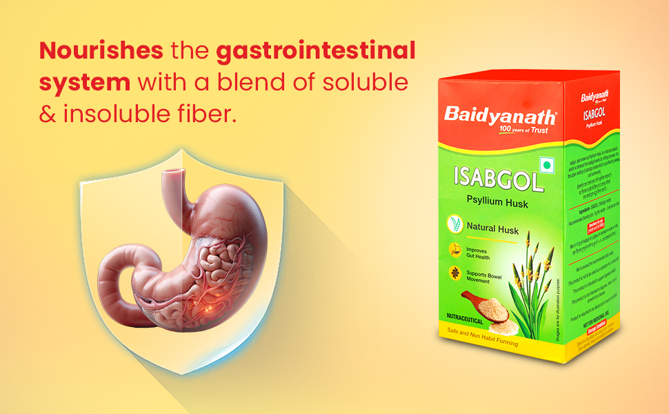 Baidyanath Ayurved Isabgol 100g | Pure Psyllium Husk | Natural Soluble & Insoluble Dietary Fiber | Supports Gut Health & Digestive Comfort | Gluten Free, Vegan