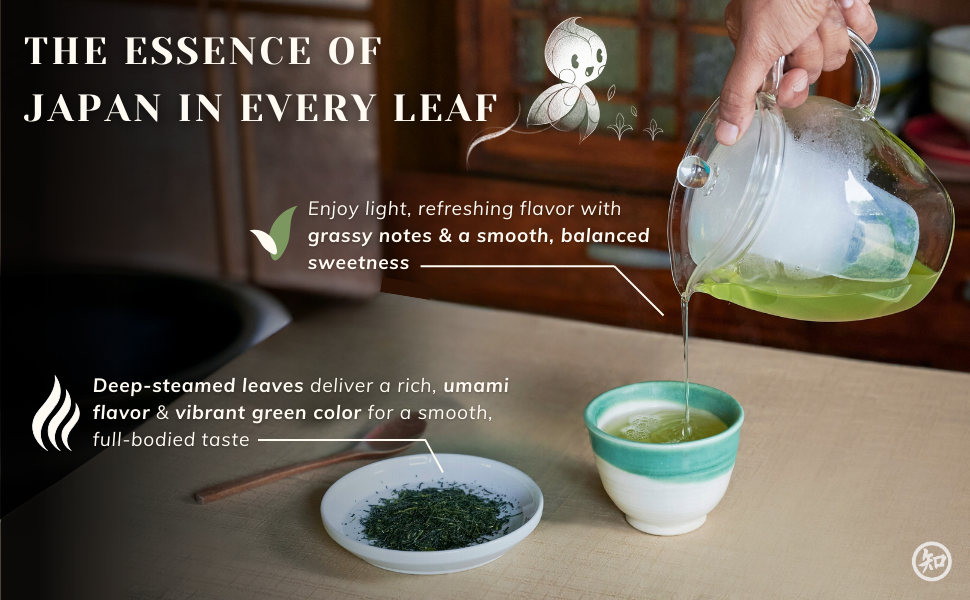 CHIRAN Japanese Sencha Green Tea — Loose Leaf 50g (~25 Cups) | Japan's Most Popular Tea | Cold or Hot Brew | Imported from Kagoshima | Light, Grassy, Naturally Umami
