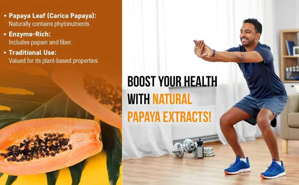 Ayurvedic Life Papaya Leaf Tablets 120 Tablets | Carica Papaya (Pack of 1)