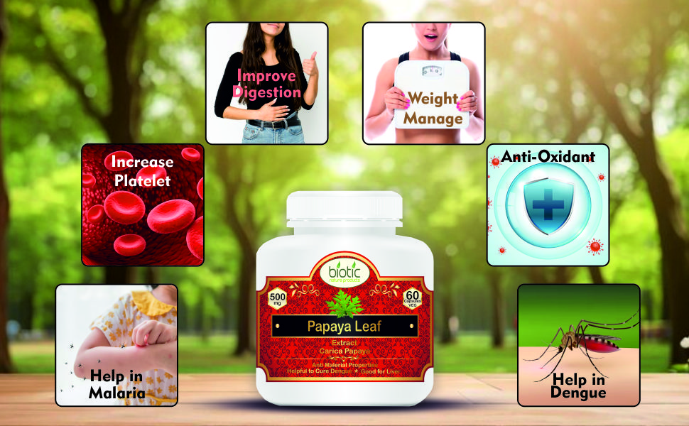 Biotic Natural Papaya Leaf Extract for Platelets - Carica Papaya Capsules Extract 500mg - 60 Veg Capsule