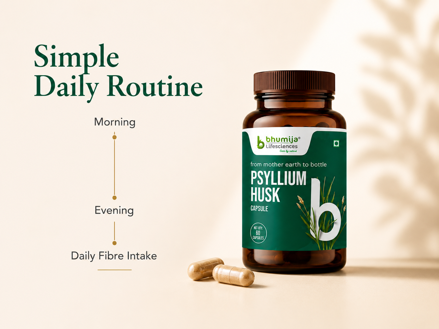 Bhumija Lifesciences Isabgol Psyllium Husk Natural Fiber 60 caps