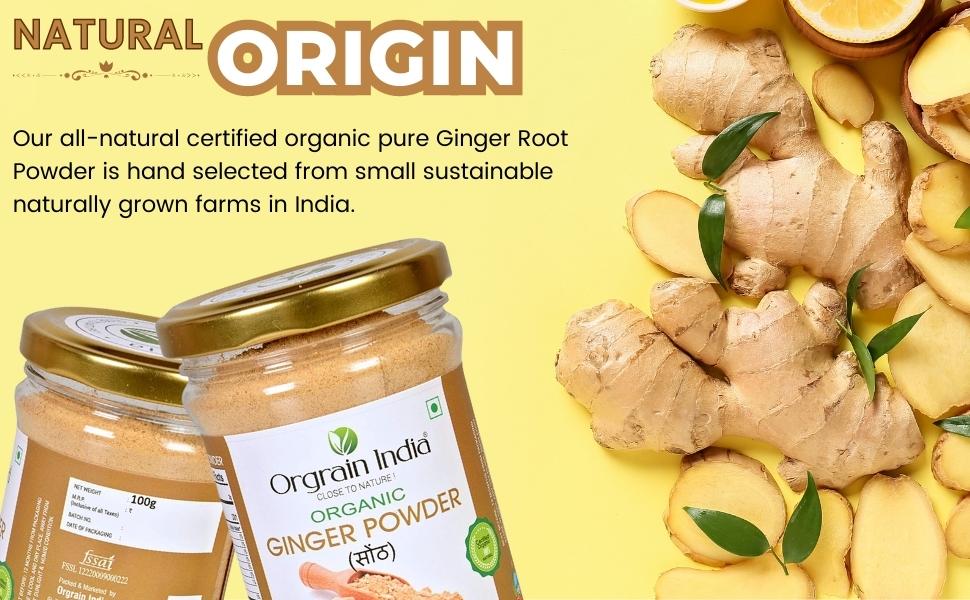 Orgrain India Organic Ginger Root Powder 100g | Pure & Natural | No Preservatives | Low Sodium | Perfect for Smoothies, Teas, Baking & Cooking | Handpicked from Sustainable Farms