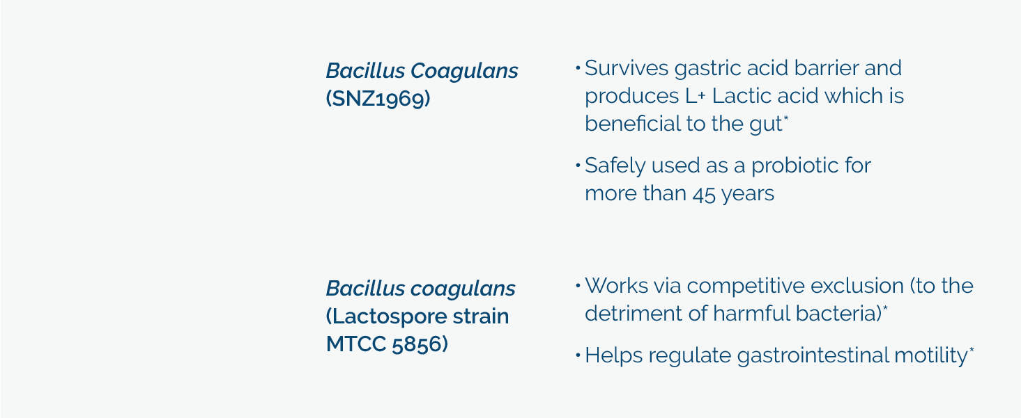 Researched Nutritionals CoreBiotic Probiotic Gut Health Supplement, 60 Ct