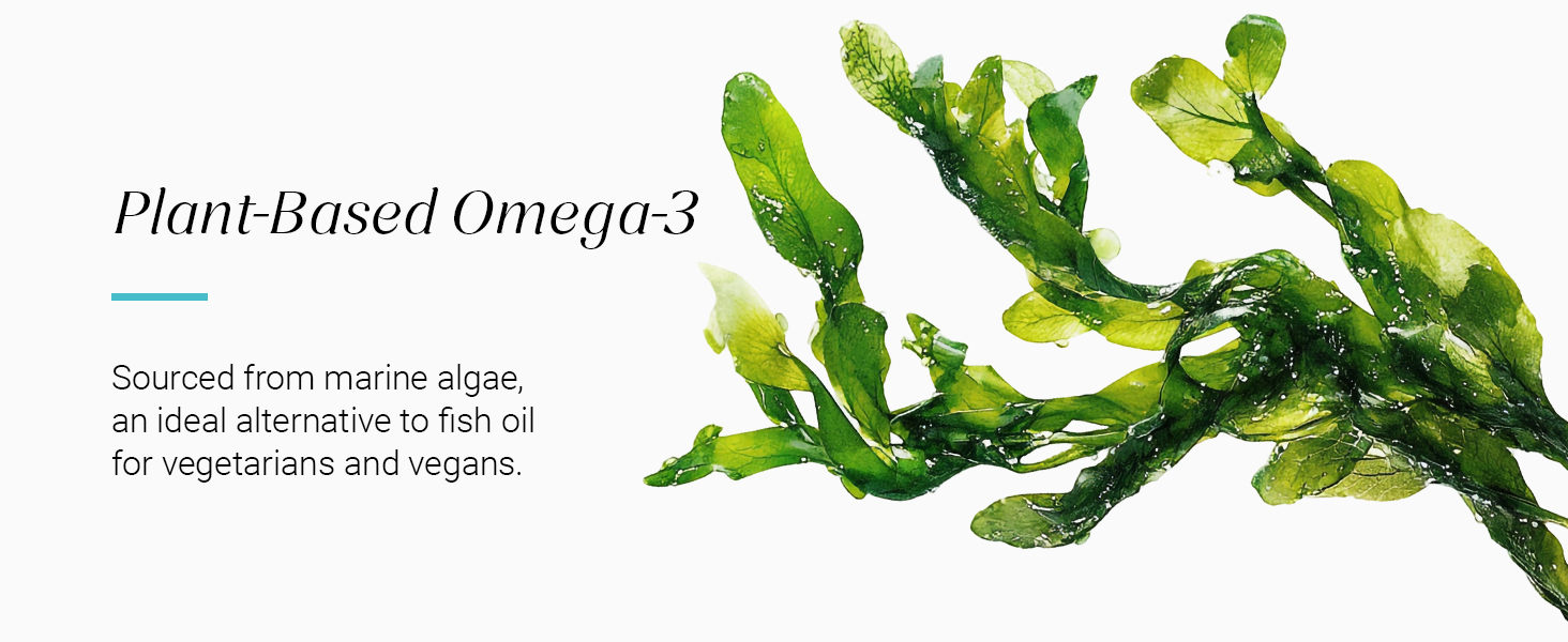 NUTROVA Complete Omega 3 Vegan and Gelatin-Free 60 capsules with Marine Algal Extract Containing 17% vegan-sourced DHA – Supports Cardio Health, Skin & Hair etc - Ideal for Vegans & Vegetarians