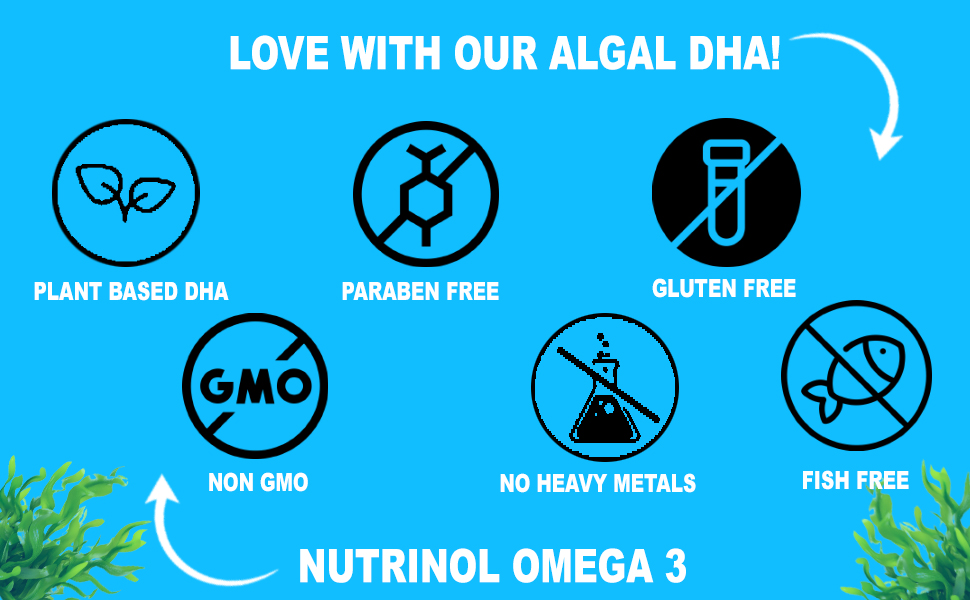 Knoll Healthcare Nutrinol Organics Vegan Omega-3 Flaxseed (145mg) Healthy Bones, Hair & Skin Glwing Skin Joint Strong Hair Veg Soft Gummies for Women & Men (Blueberry Flavour) 30 Gummies