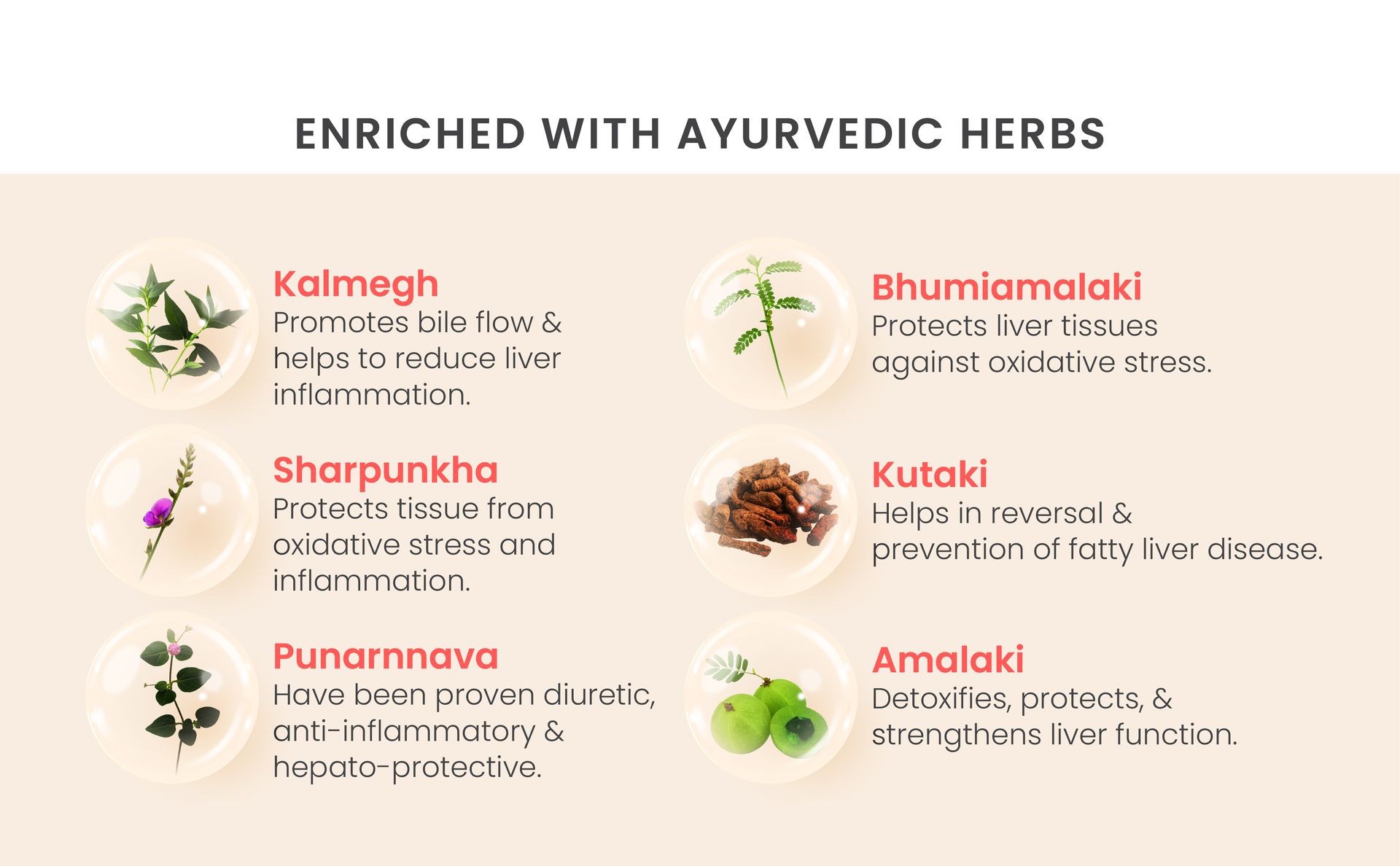 Vedistry Livercare Tablets | Ayurvedic Liver Detox Supplement for Fatty Liver & Sluggish Metabolism | Clinically tested | 22% reversal in fatty liver | Ayurvedic Liver Care with Bhumiamalaki, Kutaki & Amalaki for Detox & Liver Restoration – 60 Tablets (Pack of 3)
