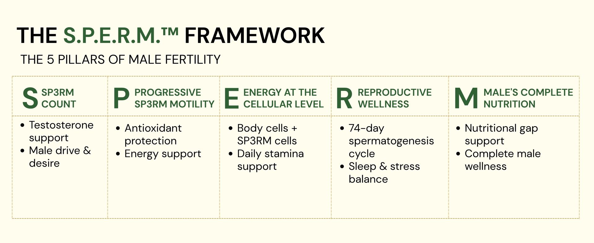 Daily Boost™ in you | 360° Men's Wellness Nutrition | Patented Testofen® + CoQ10 (QONTAN™) + Cordyceps + L-Theanine | Supports Testosterone, Fertility, Sperm Health, Energy, Longevity, Stress & Sleep