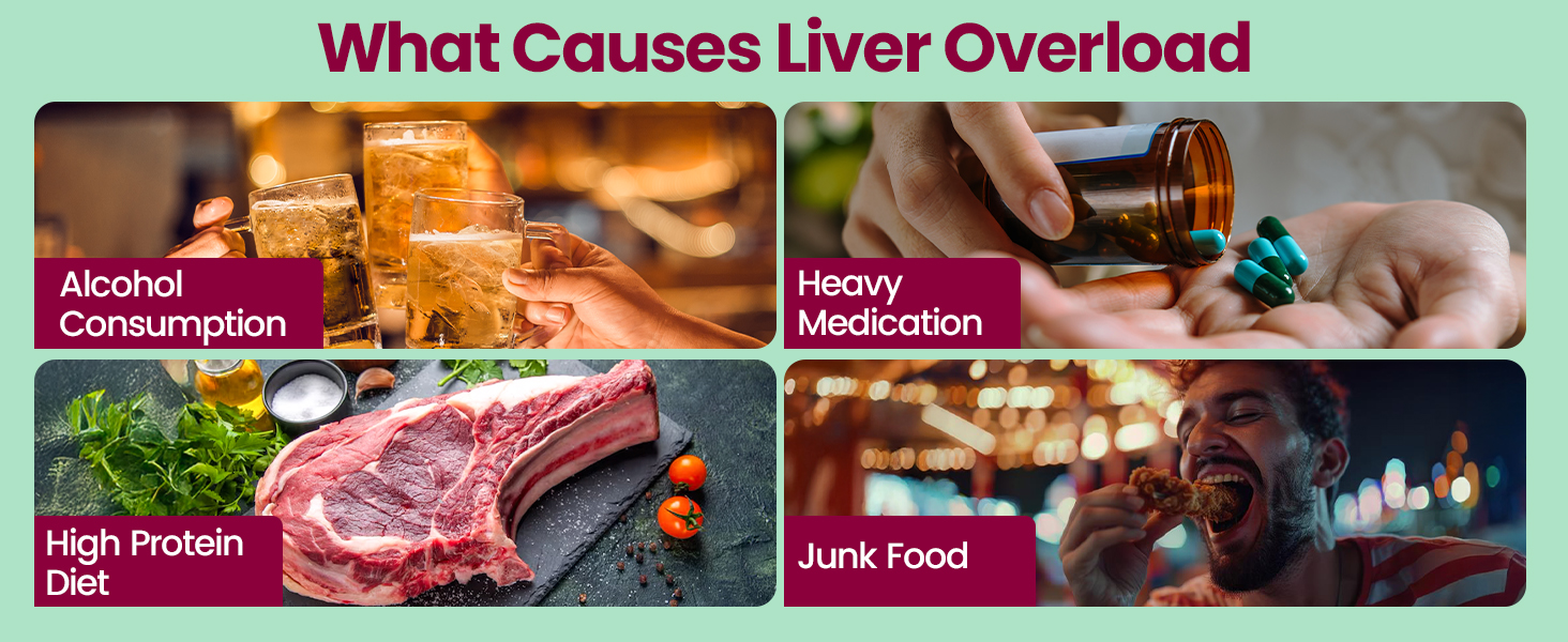 Fast&Up Liver Detox - Daily Liver Cleanser Drink | Milk Thistle + NAC | Helps Improve Digestion & Reduces Load on Liver - 20 Tablets - Mixed Berry Flavour