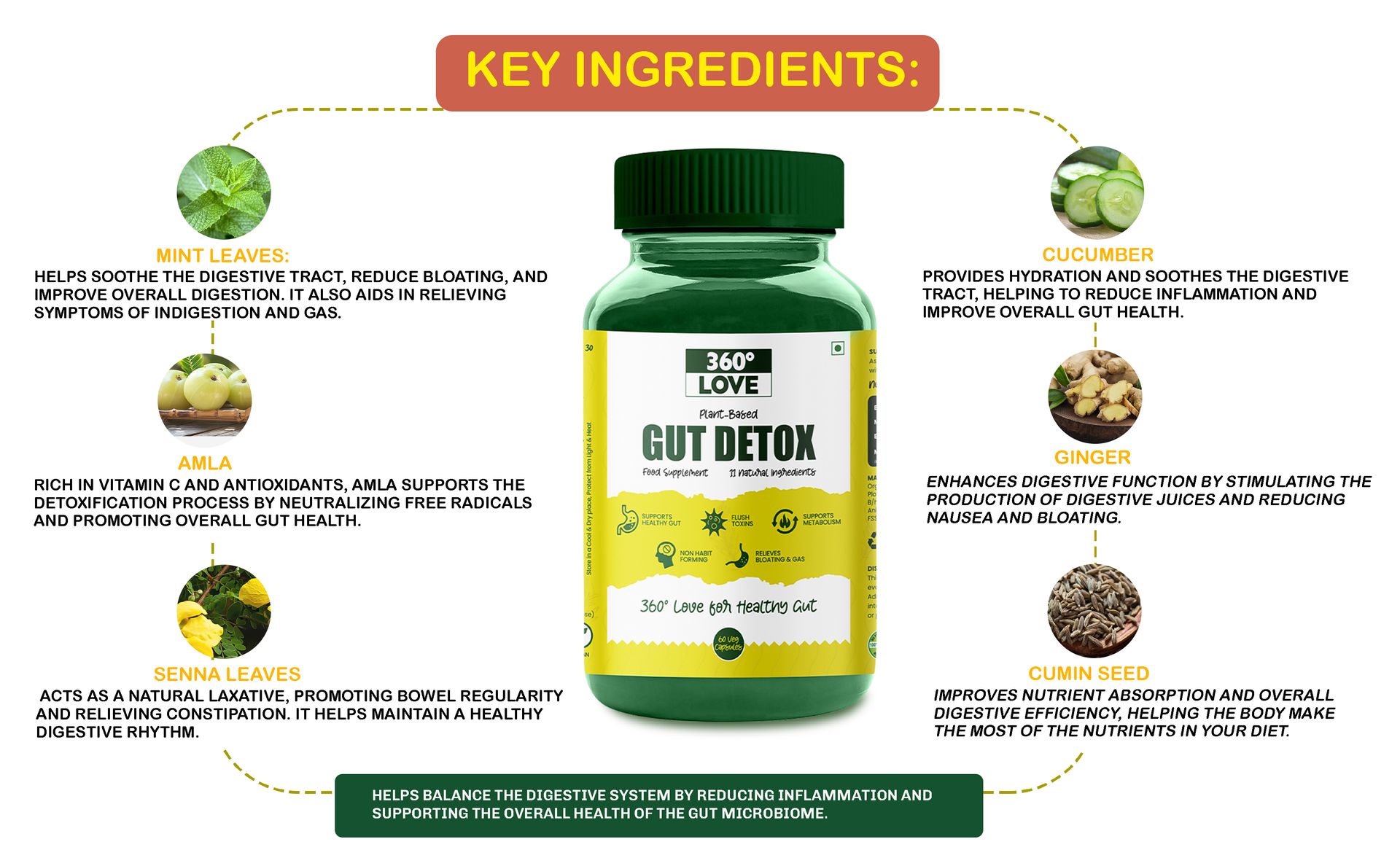 Plant Based Gut Detox with 11 Natural Ingredients | Supports Metabolism & Healthy Gut | Improves Digestive Health - 60 Veg Capsules