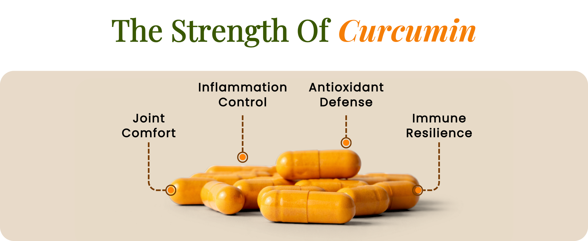 Turmeric Curcumin Capsules with Piperine (Black Pepper) & Ginger Root Extract | 95% Curcuminoids from Curcuma Longa | Anti-Inflammatory Joint Support Supplement for Men & Women | High Absorption Formula | Immunity & Antioxidant Support | 100% Natural