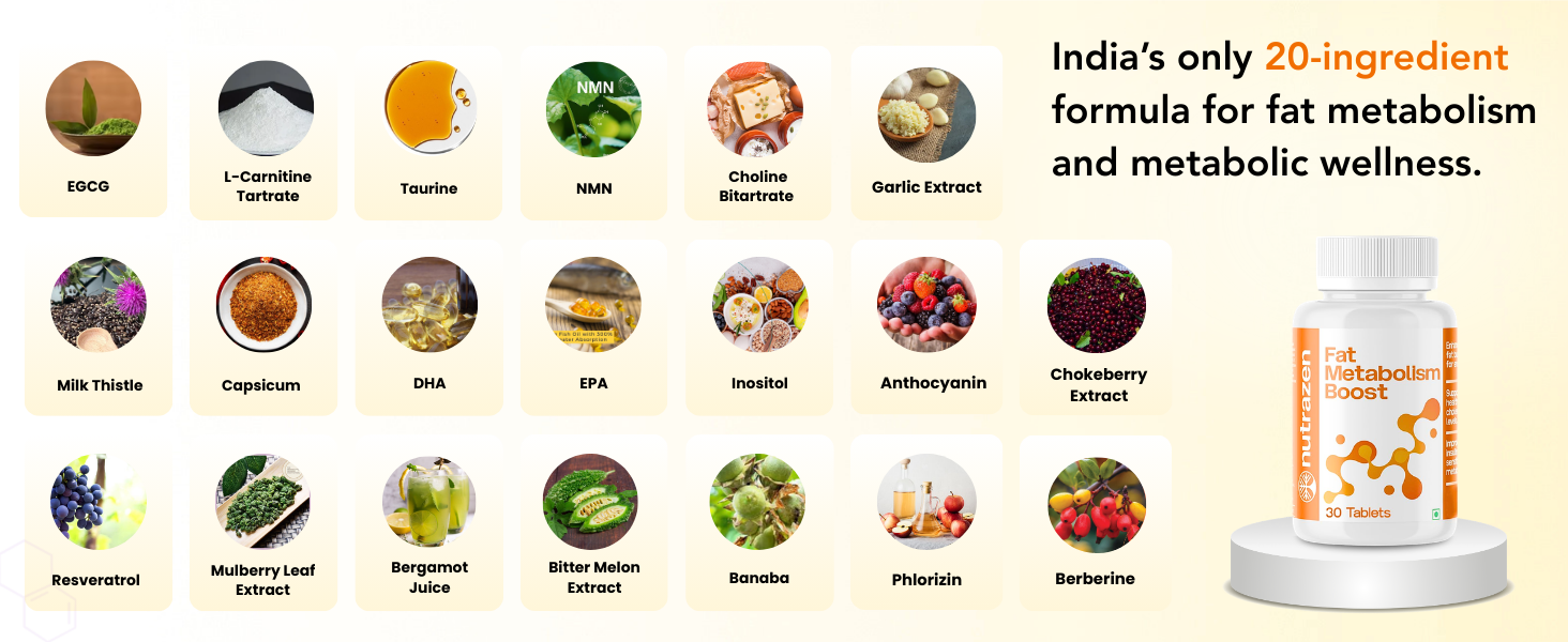 Fat Metabolism Boost - Pack of 2 | 20 Plant Based Ingredients