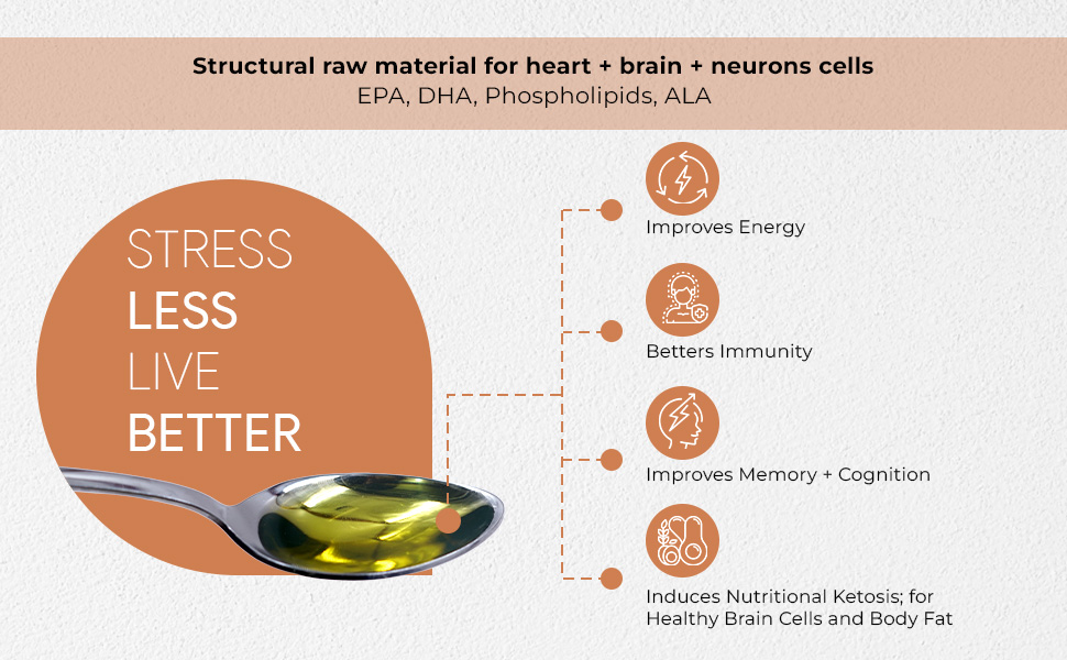Autoimmunity Care Brain + Heart Care – Vegan Omega 3 EPA DHA with Algal Oil, Phospholipids, MCT and Flaxseed Oil | Brain, Heart, Eye & Joint Health Supplement | High EPA DHA | Astaxanthin & CoQ10 | 250ml (25 Servings)