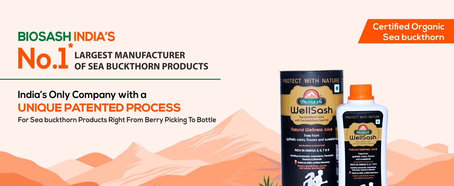 Biosash Himalayan Wellsash Sea Buckthorn Juice with Seed Oil 250ml | Cold-Pressed Organic Antioxidant | Detox Drink & Immunity Booster | No Sugar | Makes 50 Glasses | for Skin, Heart, Brain, Liver