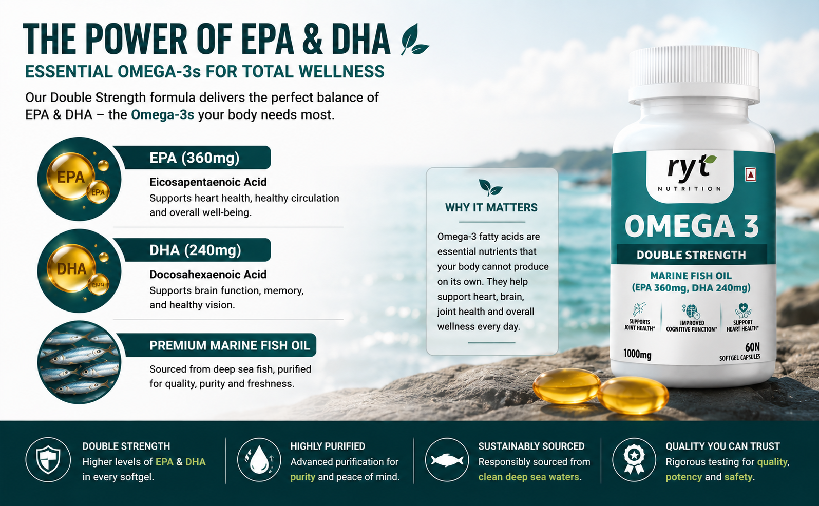 Omega-3 Double Strength Fish Oil 1000mg | 360mg EPA & 240mg DHA | Supports Heart, Brain, Eye & Joint Health | Helps Maintain Healthy Cholesterol & Triglycerides | 60 Softgel Capsules