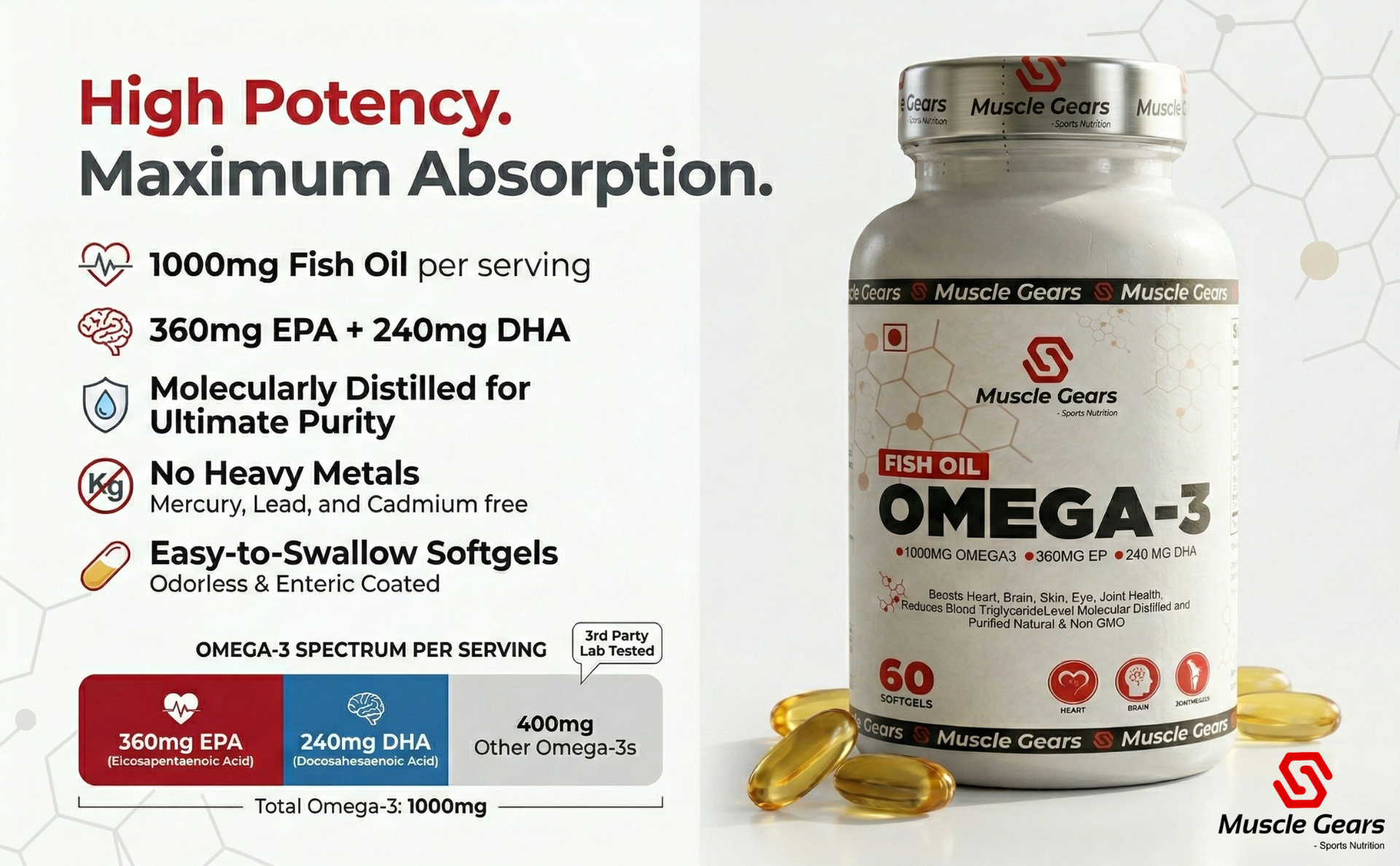Muscle Gears Omega-3 Fish Oil 1000mg | 360mg EPA & 240mg DHA | Heart, Brain, Eye, Skin & Joint Health | Molecularly Distilled | Non-GMO | For Men & Women | 60 Softgels