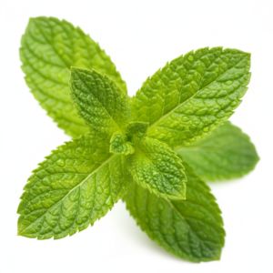 The Indian Chai - Licorice Mulethi Zing Tea 30 Pyramid Tea Bags with Spearmint for Immunity and Stress