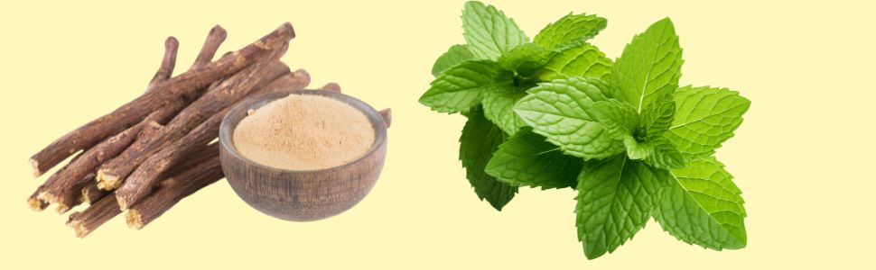 The Indian Chai - Licorice Mulethi Zing Tea 30 Pyramid Tea Bags with Spearmint for Immunity and Stress