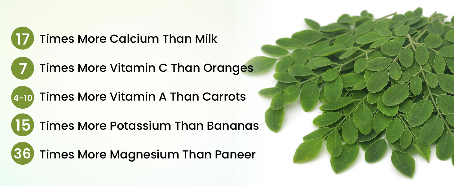 Vlado's Himalayan Organics Organic Moringa Tablet with 1200mg Moringa Leaves Extract | Moringa Powder Tablets for Immunity, Digestion & Energy - 60 Tablets
