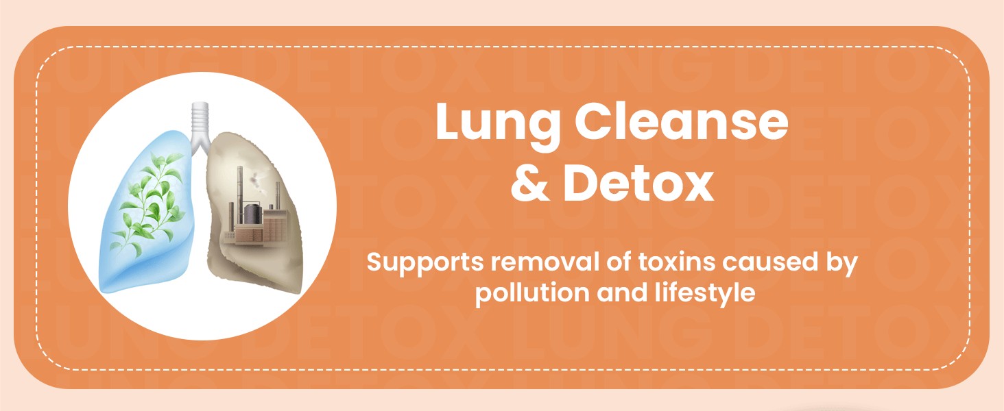 ZEROHARM Holo Lung Detox Tablets for Smokers | Vasaka, Echinacea, Ginger, Basil & Mulethi | Ayurvedic Lung Cleanse for Pollution & Respiratory Health | Nanotechnology for Men & Women | 60 Tablets
