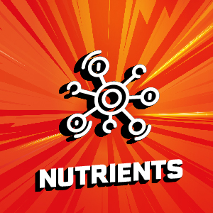 Boost Nutrition Drink|| 200 g
