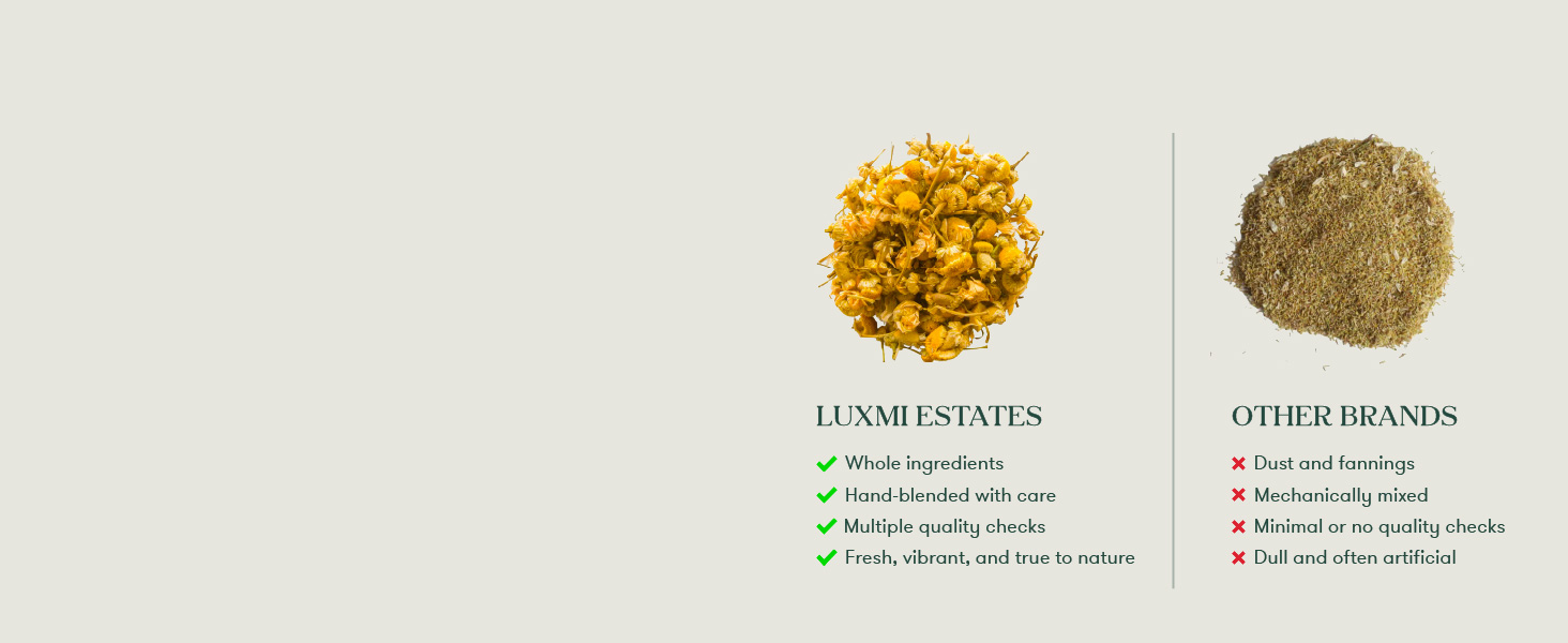 Luxmi Estates Japanese Sencha Green Tea | Authentic Japanese Sencha | Mild, Rich & Refreshing Premium Chai, 50 Grams | Improve Metabolism | Antioxidant-Rich Wellness Tea