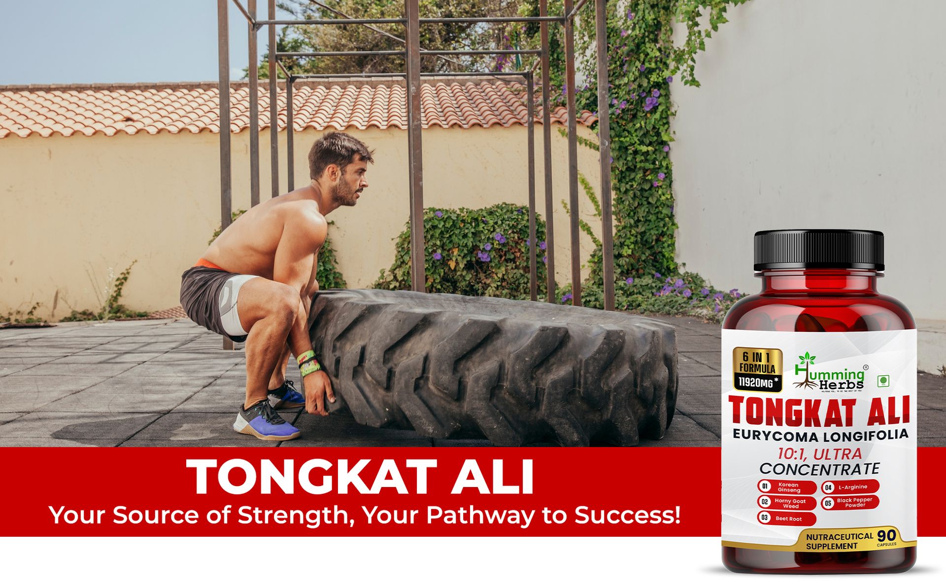 Humming Herbs Tongkat Ali Eurycoma Longifolia 6-in-1 Blend with Korean Ginseng, Horny Goat Weed, L-Arginine, Black Pepper Powder, and Beet Root for Men's Health