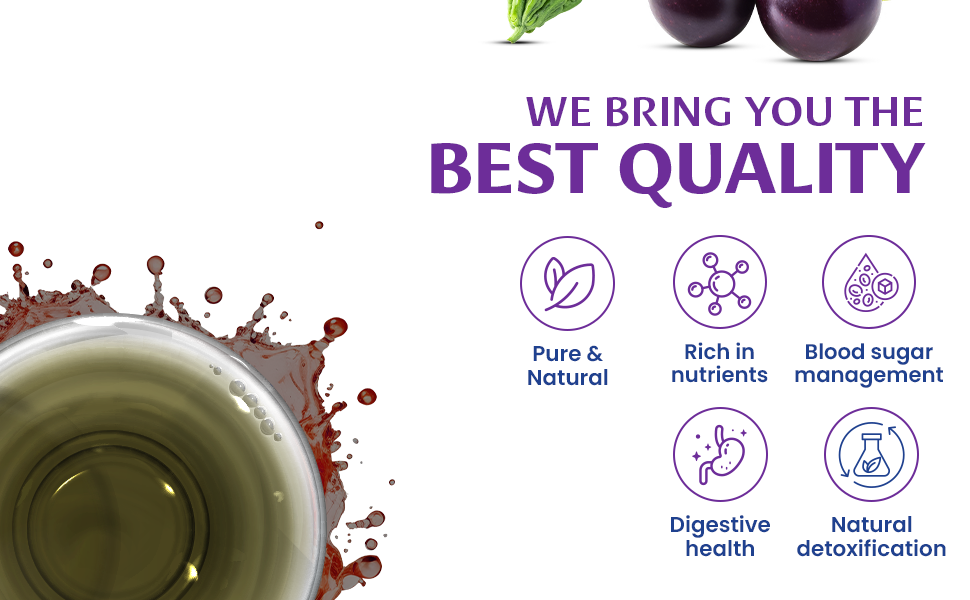 Baidyanath Premium Karela Jamun Juice - 1L | Supports Healthy Blood Sugar Levels Naturally |