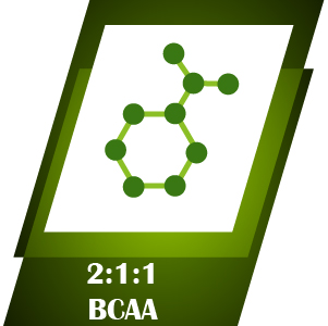 XLR8 BCAA++ Powder Supplement 2:1:1 with Vegan Instantised BCAA 5000mg,1500mg Glutamine, 500mg Arginine &180 Electrolytes (225 g (Pack of 1), Watermelon)