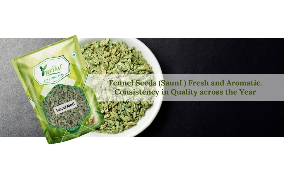 Yuvika Saunf Moti - Sonf Moti - Foeniculum Vulgare - Fennel Seed Big 100 Grams