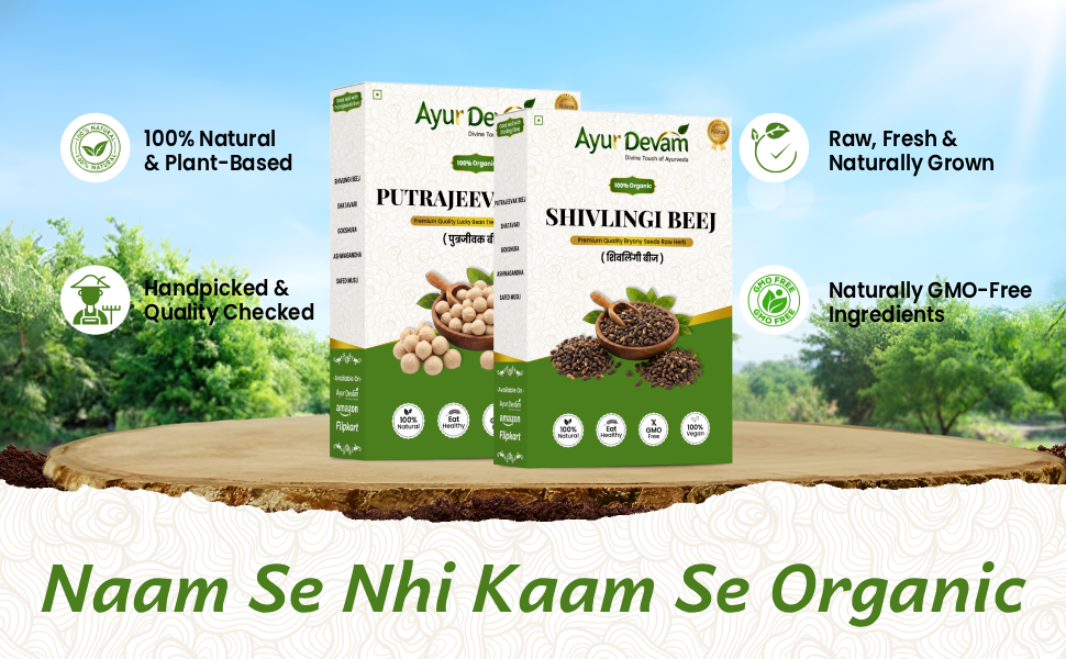 AyurDevam - Shivlingi beej & Putrajivak beej | Sivalingi and Putrajivak Seed Combo | शिवलिंगी बीज पुत्रजीवक बीज (250 Gram)