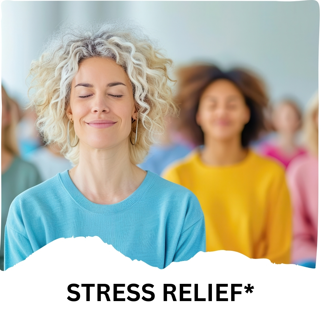 Humming Herbs Rhodiola Rosea | 4in1 | 90 Caps | 1900mg Eq | with Red Korean, Siberian and American Ginseng Root Extract | Stress and Anxiety Relief Supplements