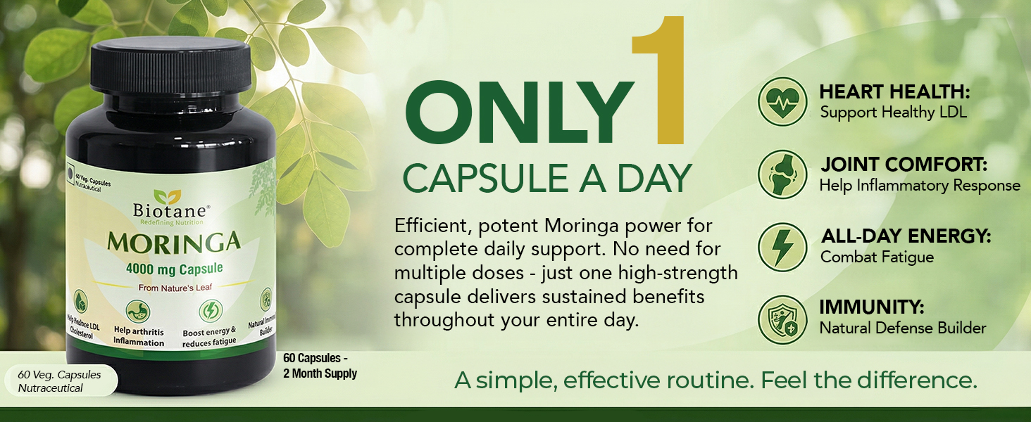 Biotane Moringa 4000mg Capsules | Only 1 Capsule a Day | Natural Multi-Vitamin Supplement | Manufactured in technical collaboration with Vitane Pharma, USA I Pack of 60 Veg Capsules