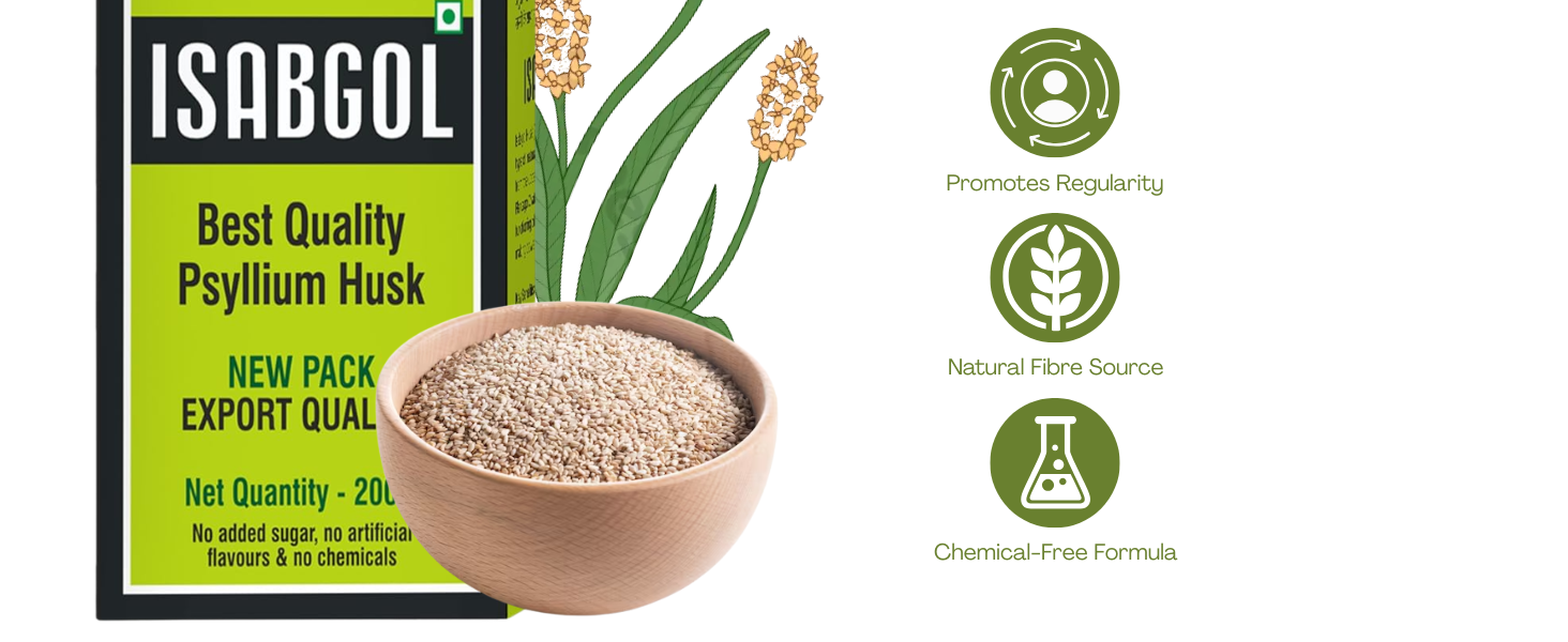 Baidyanath Ayurvedant Isabgol (Psyllium Husk) Powder, 100 g
