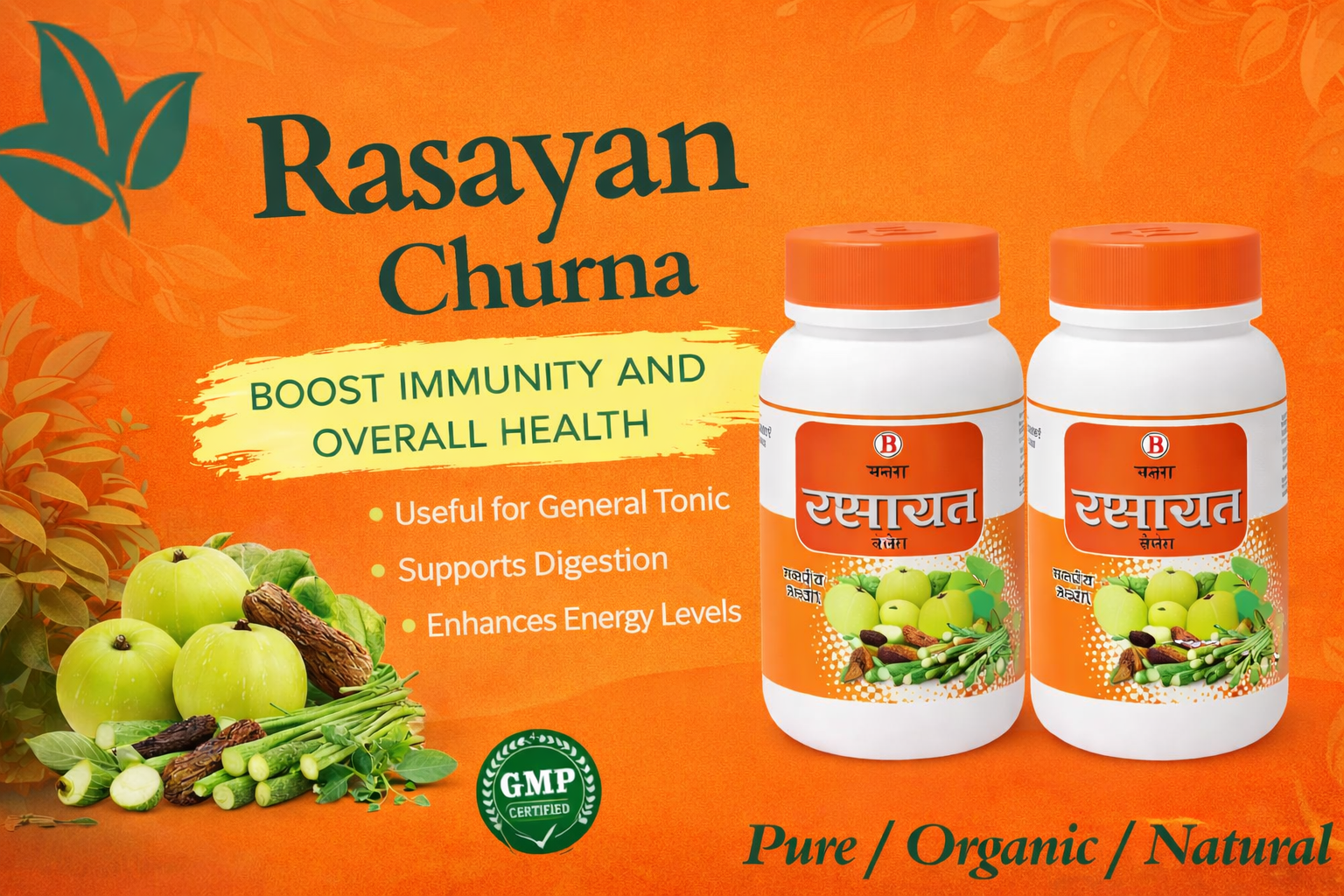 Bharat Ayurvedic Aushdhalaya Rasayan Churna, Powder 100gm (Pack of 2) | Gokhru |Amla | Giloy