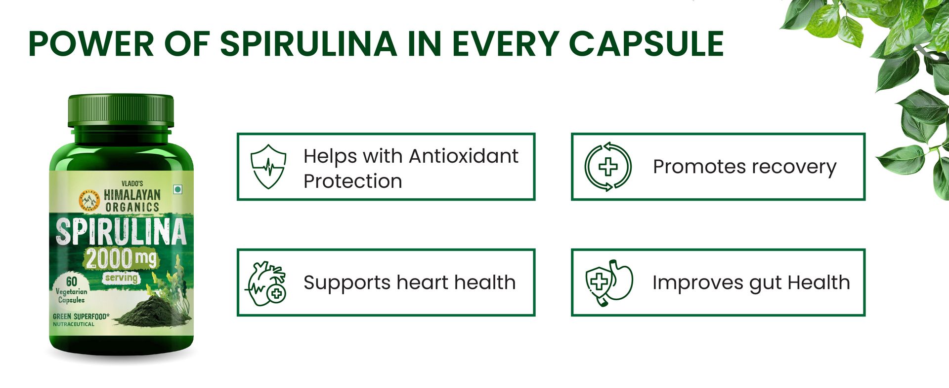 Vlado's Himalayan Organics Spirulina 2000mg Supplement For Men And Women | GreenSuper Food For Weight Management & Immunity Booster | Helps In Healthy Heart - 60 Vegetarian Capsules