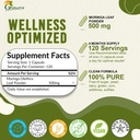 organic-moringa-capsules-120-count-pure--2.jpg