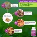 vital-plan-immune-support-supplements-by-5.jpg