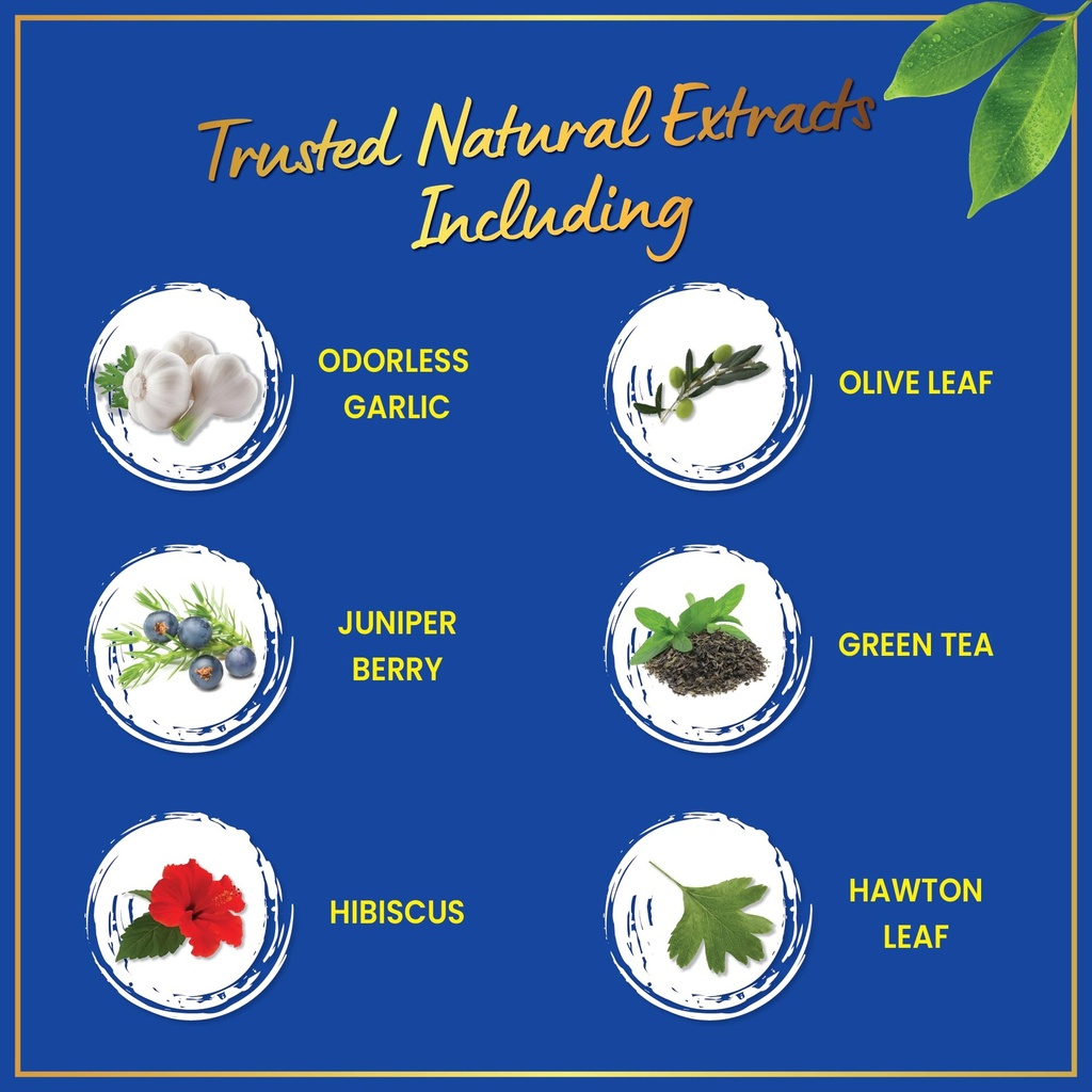 windsor-botanicals-blood-pressure-and-ch-5.jpg