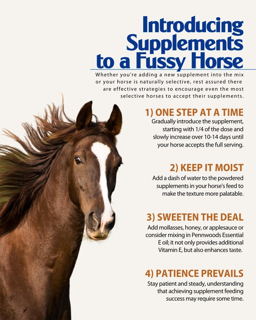 organic-essential-mag-magnesium-for-hors-6.jpg