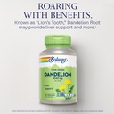 solaray-dandelion-root-supplement-health-3.jpg