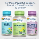 solaray-dandelion-root-supplement-health-6.jpg