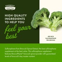 swanson-sulforaphane-broccoli-sprout-ext-5.jpg