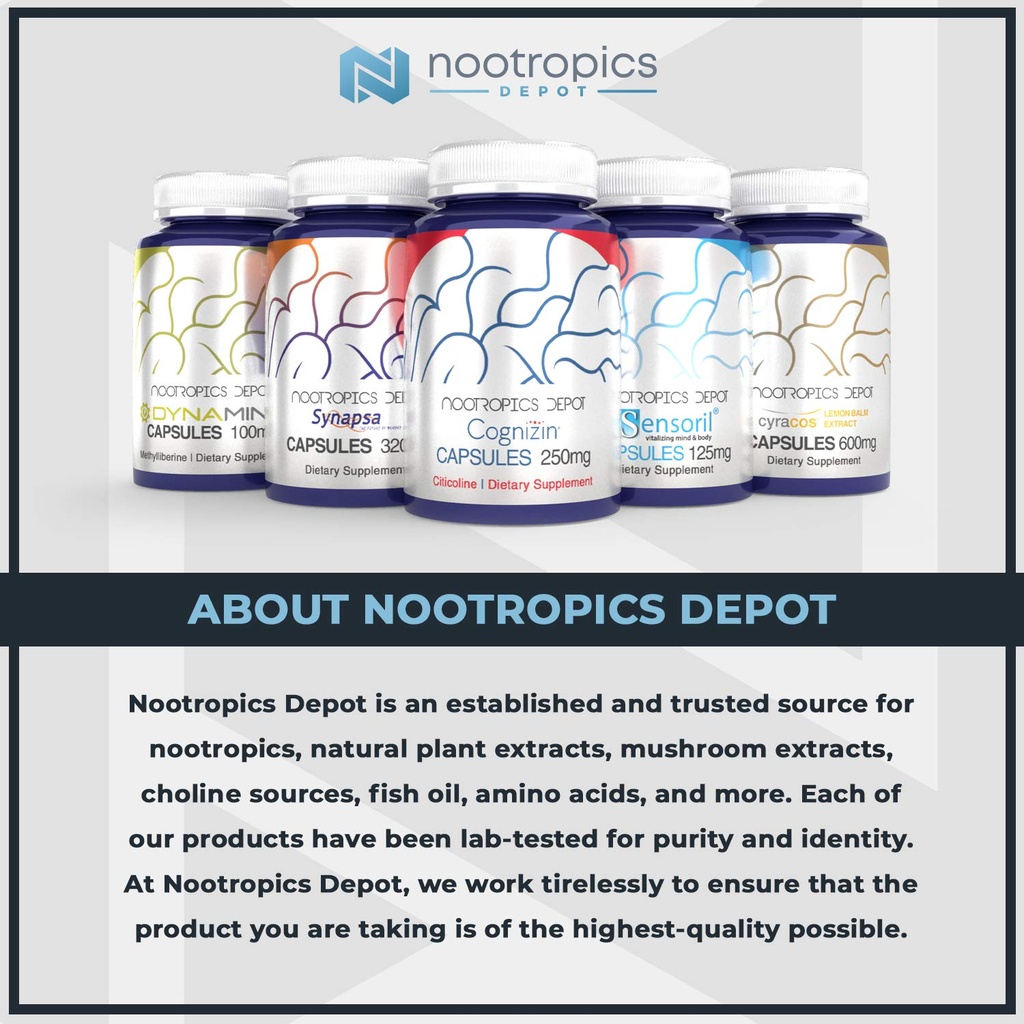 nootropics-depot-lions-mane-mushroom-cap-3.jpg