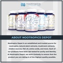 nootropics-depot-lions-mane-mushroom-cap-3.jpg