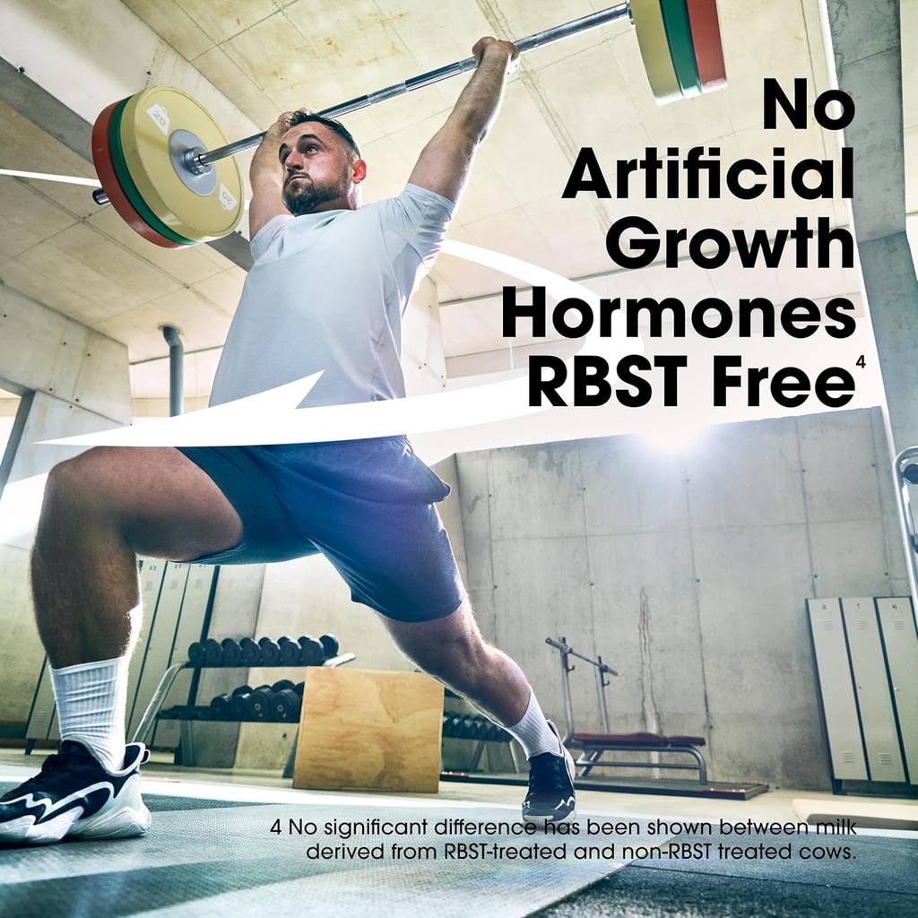 optimum-nutrition-gold-standard-protein--6.jpg