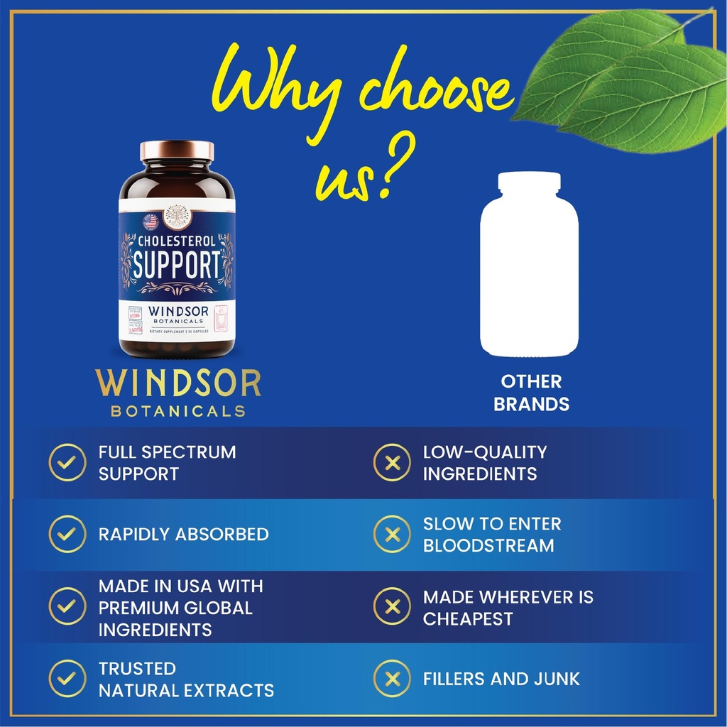 windsor-botanicals-cholesterol-supplemen-5.jpg