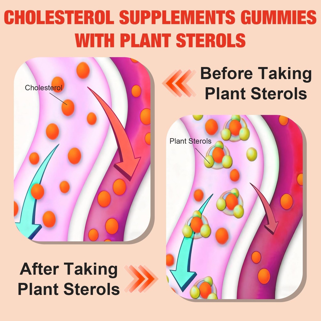 2-packs-cholesterol-supplements-with-200-4.jpg